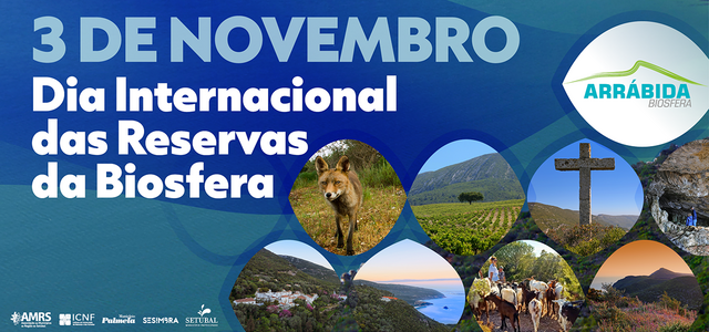 banner_capa_facebook_mobile_diversidade_03_11_2_640x360px