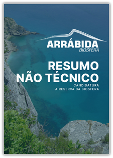 a capa resumo nao tecnico