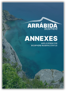 a capa anexos EN